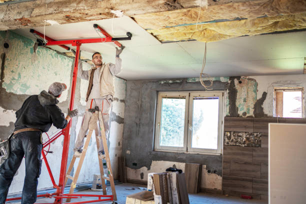 Best Blown-in Insulation  in Mankato, MN