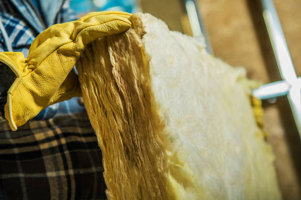 Best Home Insulation Services  in Mankato, MN