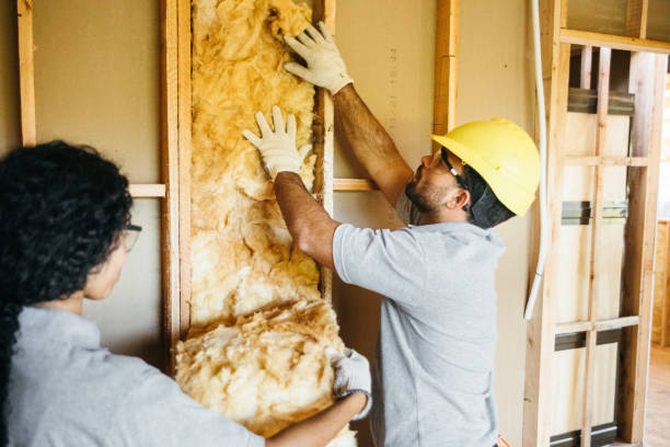 Best Energy-efficient Insulation  in Mankato, MN