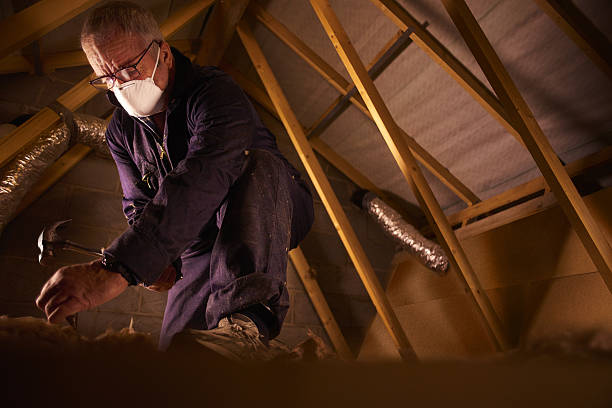 Best Soundproof Insulation Installation  in Mankato, MN